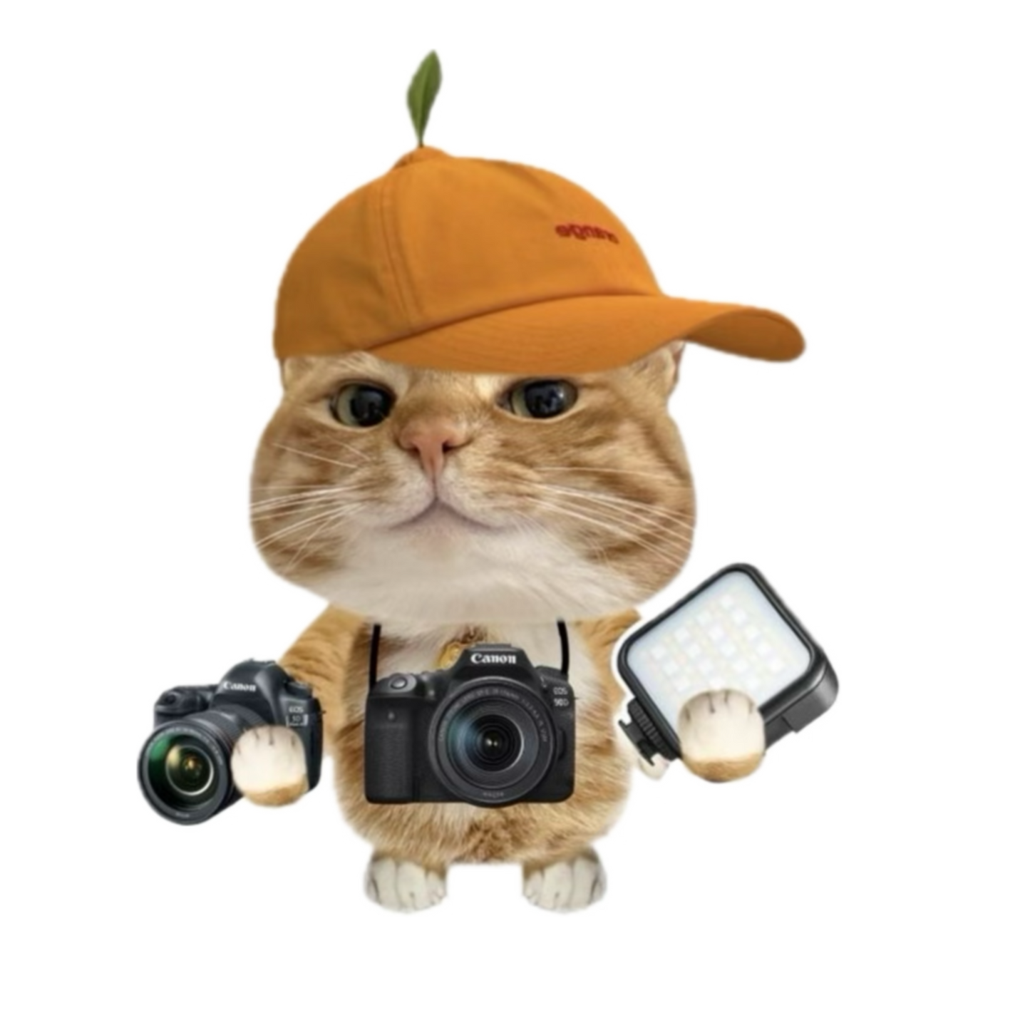 Influencer Billi (size-S)