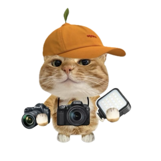 Influencer Billi (size-S)